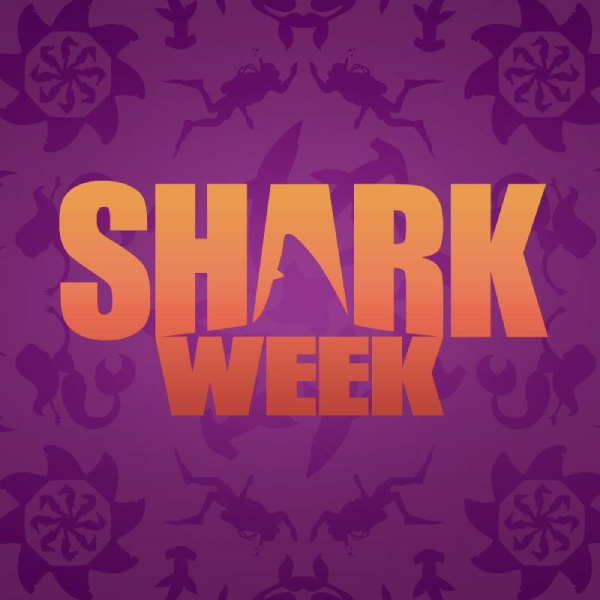 Shark Week | Geico